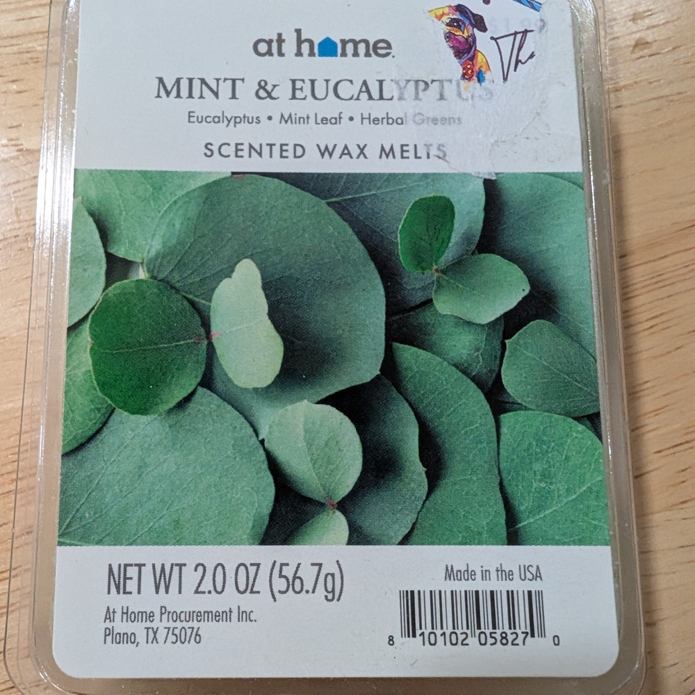 At Home Mint & Eucalyptus Scented Wax Melts - Green